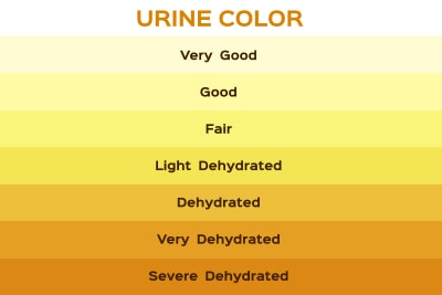 urine color indicator